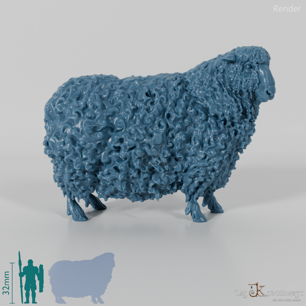 Schaf - Devon and Cornwall Longwool - Schaf 02