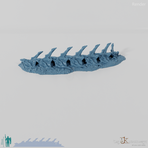 Drachenskelett - Halswirbel