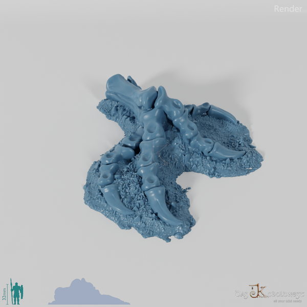 Drachenskelett - Klaue A