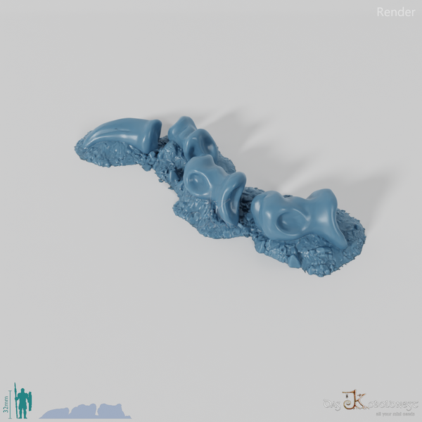 Drachenskelett - Fingerknochen