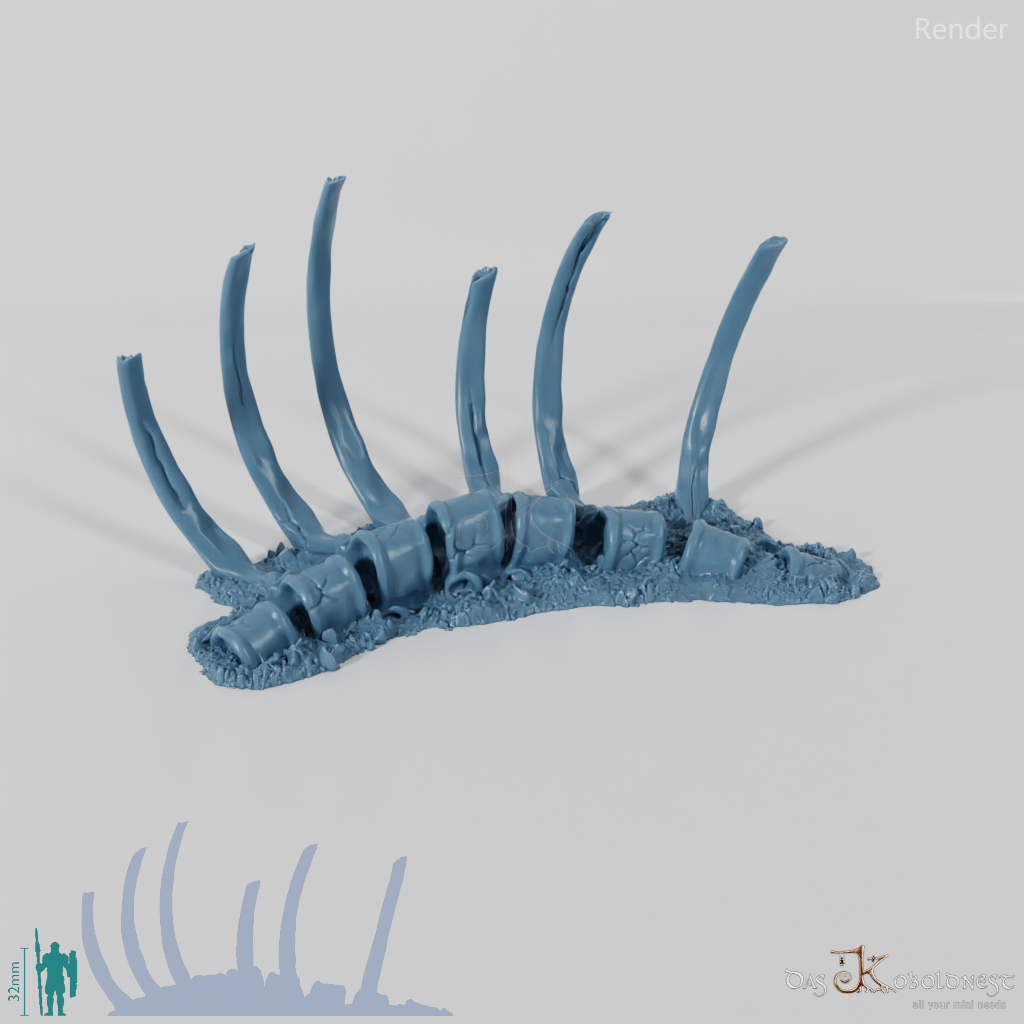 Drachenskelett - Rippen