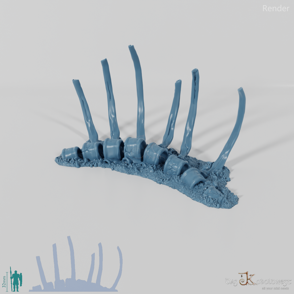 Drachenskelett - Rippen