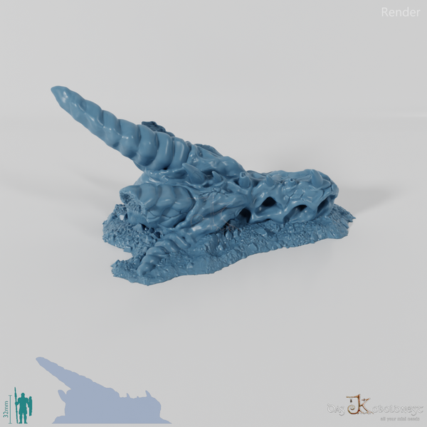 Drachenskelett - Schädel A