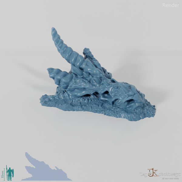 Drachenskelett - Schädel A