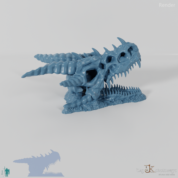 Drachenskelett - Schädel B