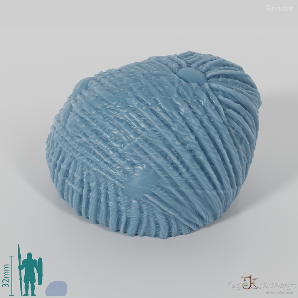 Spinnenei-Kokon (Spinneneier)