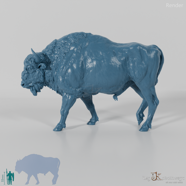 Bison - Europäischer Bison 01