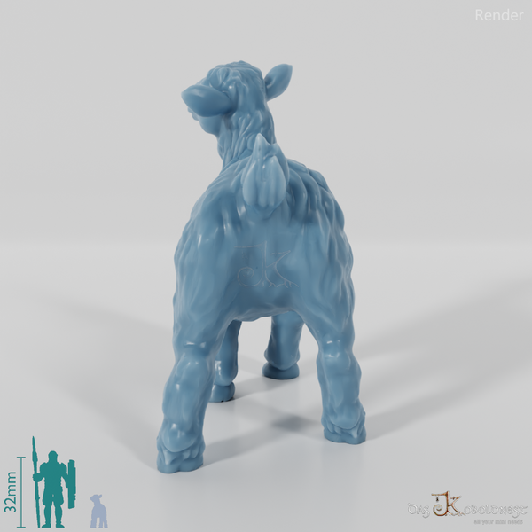 Ziege - Zottiges Zicklein