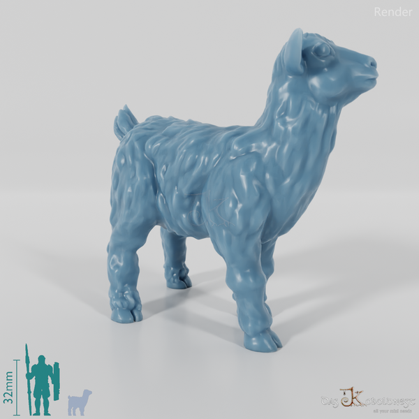 Ziege - Zottiges Zicklein