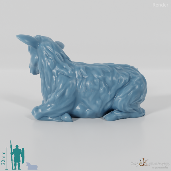 Ziege - Liegendes Zicklein