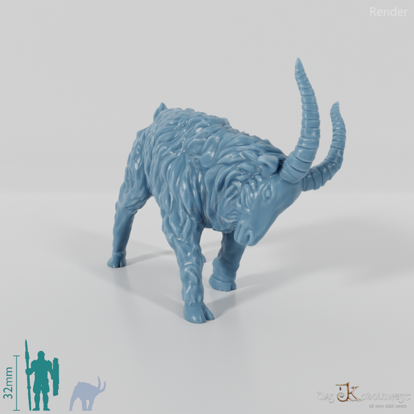 Ziege - Sturer Ziegenbock