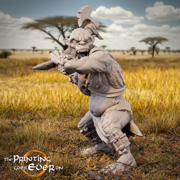 Halbtroll der Südlande C