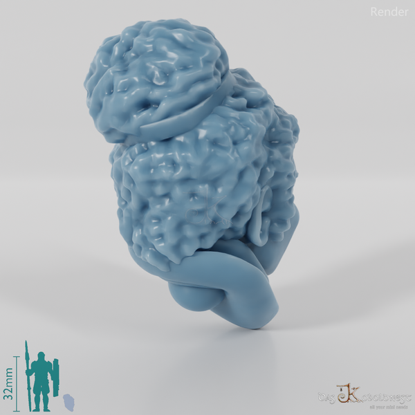 Zwergenkopf - Weiblich mit krausem Haar