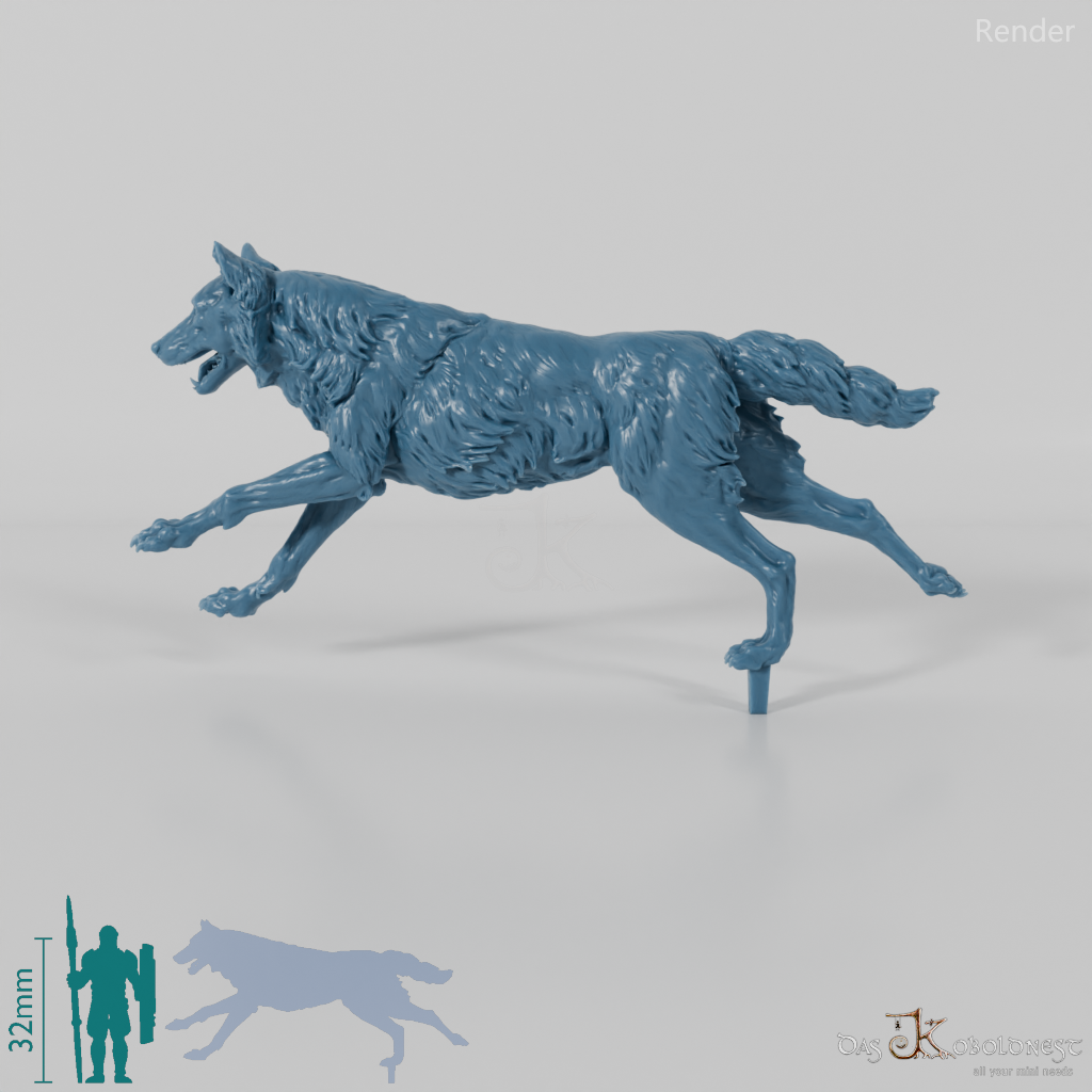 Wolf - Iberischer Wolf 02