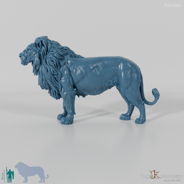 Raubkatze - Löwe 02