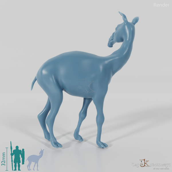 Macrauchenia patachonica 07 (Jungtier) - JJP