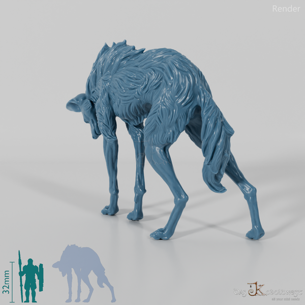 Wildhund - Mähnenwolf 01