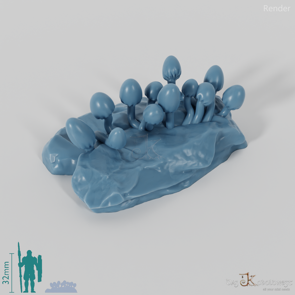 Stein mit Höhlenpilzen