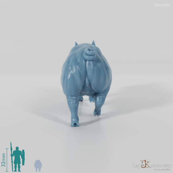 Hausschwein - Schwein 05