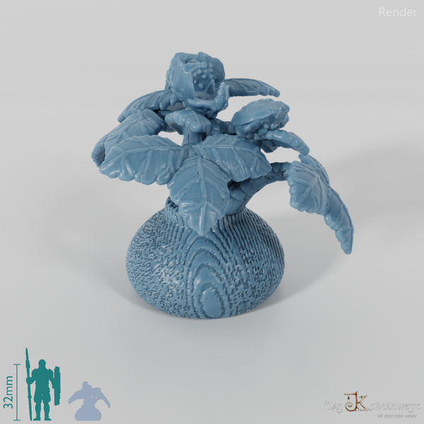 Topfpflanze - Tropische Topfpflanze 02