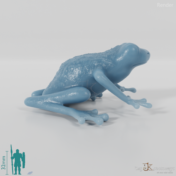 Frosch - Pfeilgiftfrosch 01