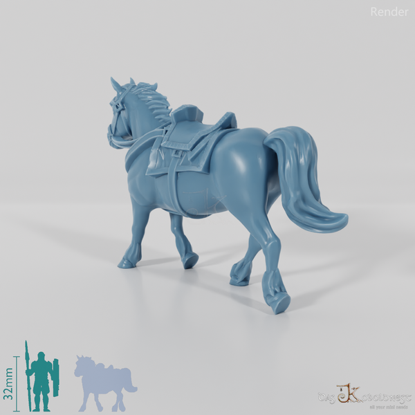 Zwergenpony - Leicht gerüstet