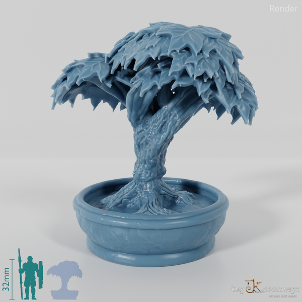 Baum - Zierbaum in Kübel 01