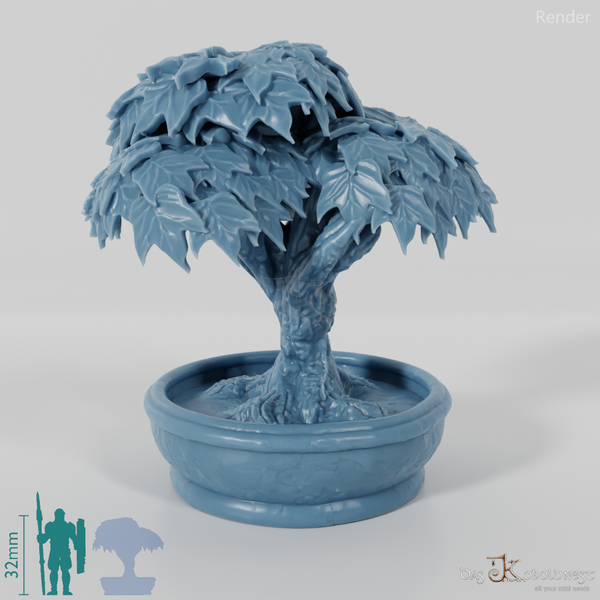 Baum - Zierbaum in Kübel 01