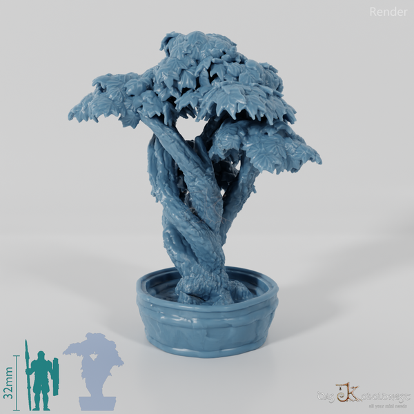 Baum - Zierbaum in Kübel 02