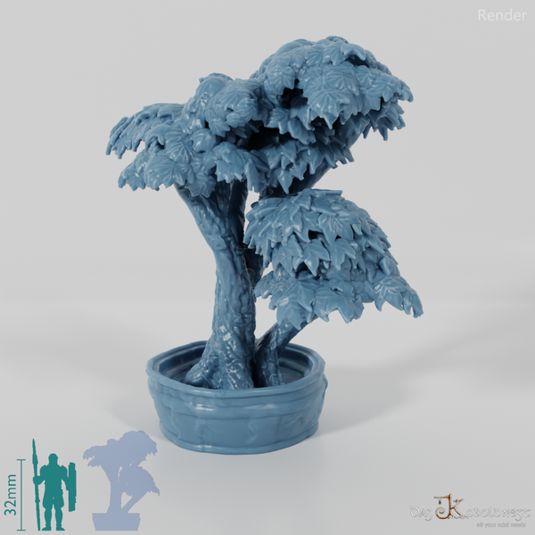 Baum - Zierbaum in Kübel 03