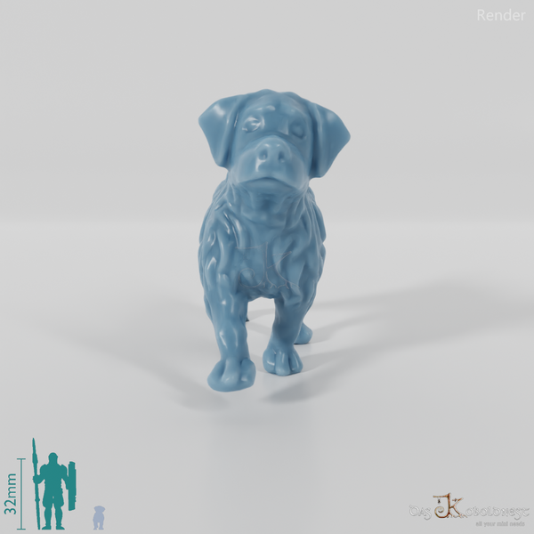 Struppiger Hundewelpe 2