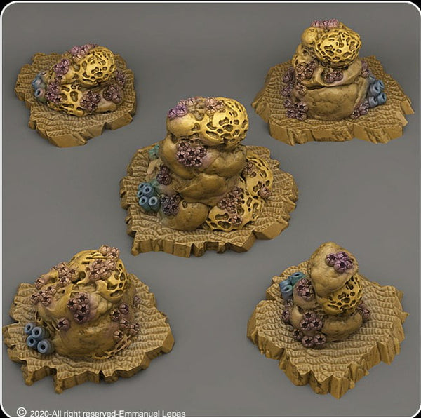 Schwammbewachsene Felsen