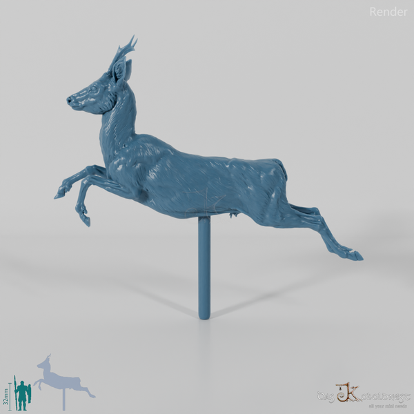 Hirsch - Europäisches Reh - Bock 02