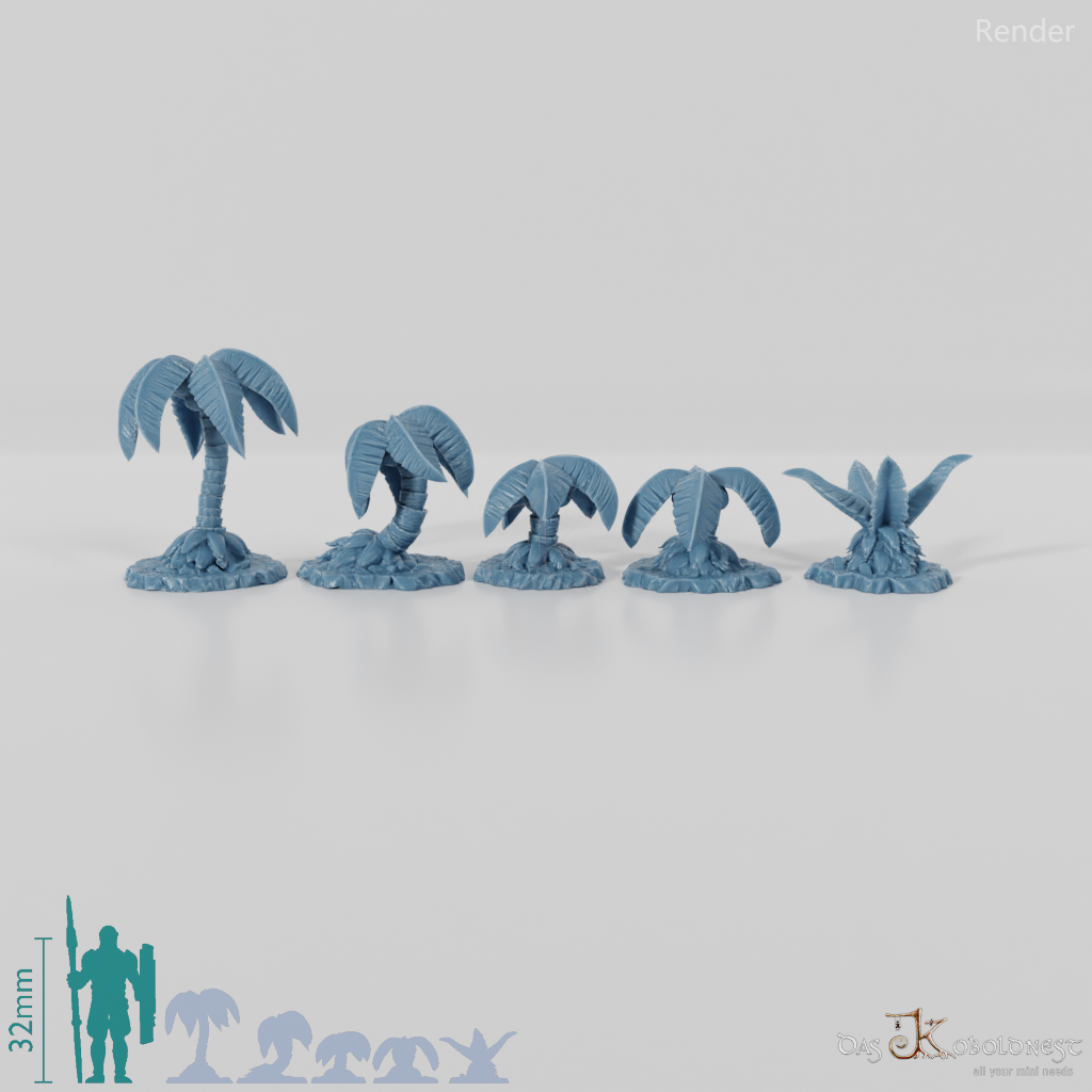 Kokospalmen