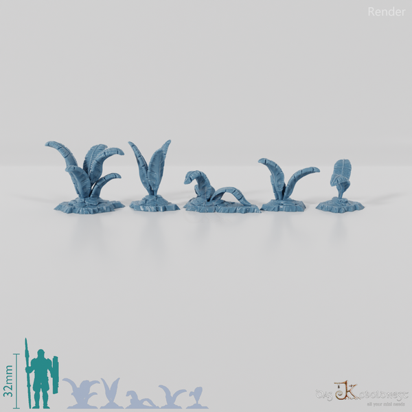 Tropische Riesenfarne