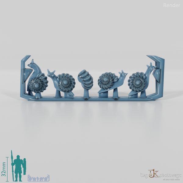 Schnecke - Schnecken 2