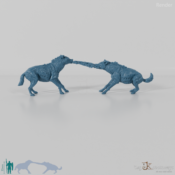 Hyäne - Streitende Tüpfelhyänen