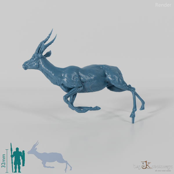 Antilope - Thomson-Gazelle 01