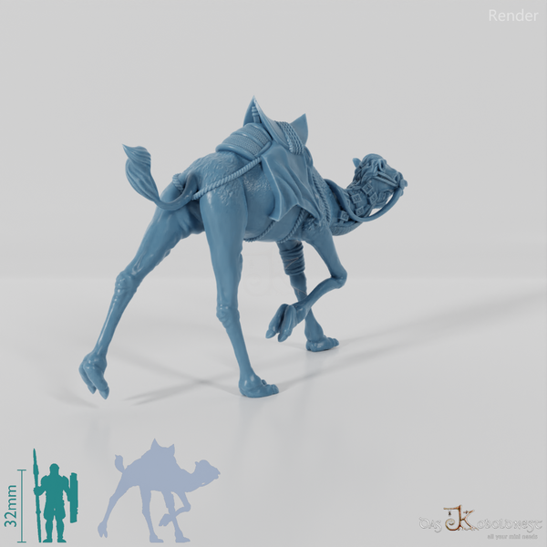 Reitkamel der Stammeskrieger A